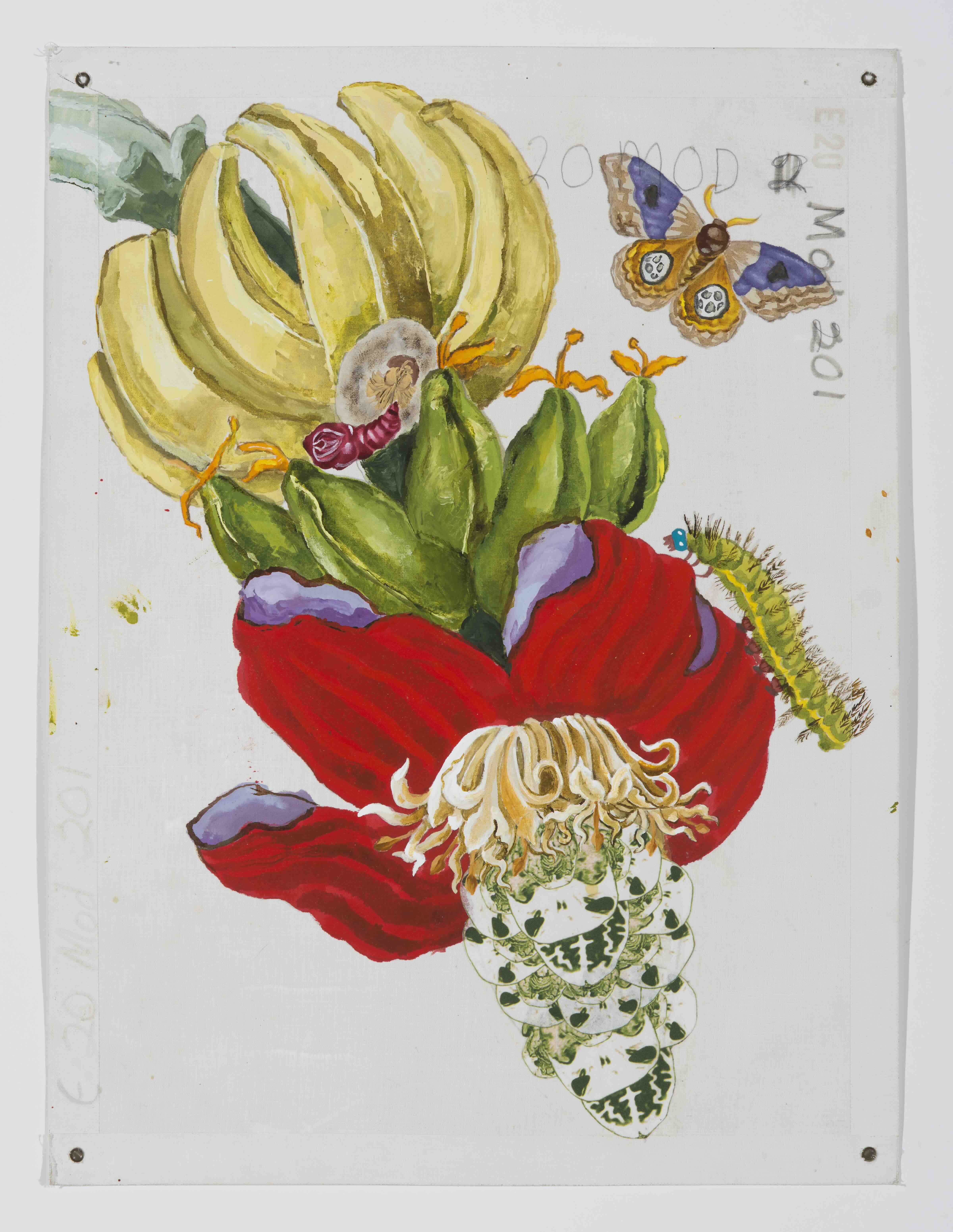 Katherine Sherwood Banana Brain (After MSM)